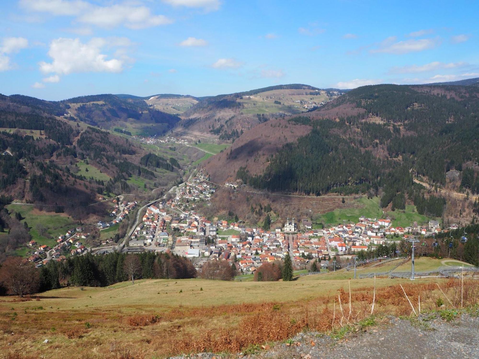 Schwarzwaldfeder